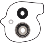(image for) Vertex Water Pump Rebuild Kit 0934-6670