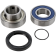 (image for) Drive Shaft Chain Case Bearing and Seal Kit