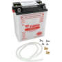 (image for) Yuasa Yumicron 12V Battery YB12AL-A2