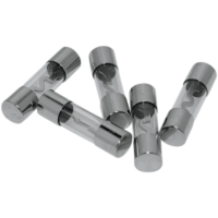 (image for) 40A AGU Fuse