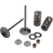 (image for) Stainless Steel Conversion Valve and Spring Kit - Intake