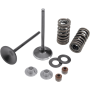(image for) Stainless Steel Conversion Valve and Spring Kit - Intake