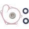 (image for) Water Pump Rebuild Kit for Polaris RMK 700 00