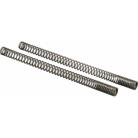 (image for) Front Fork Spring for BMW F700GS 11-14