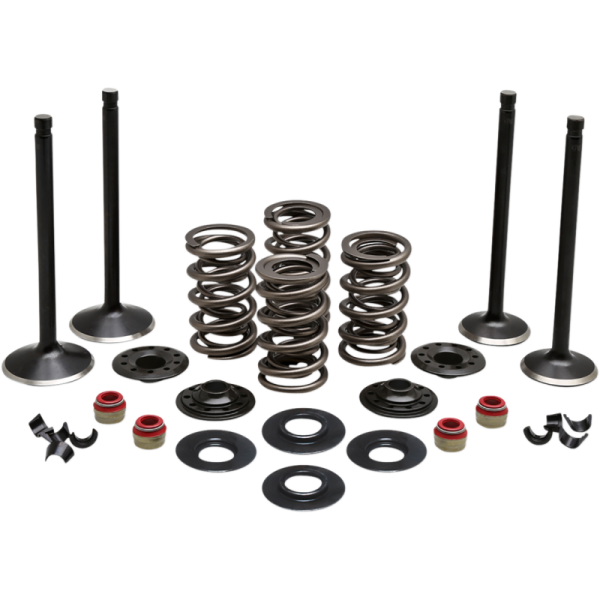 (image for) KIBBLEWHITE Black Diamond Engine Valve Kit for XL