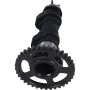 (image for) Hot Cams Racing Camshaft - Honda CRF450R/RX / CRF450RWE