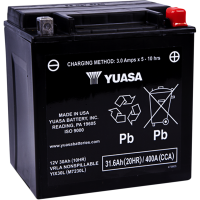 (image for) Yuasa AGM Maintenance Free Battery YIX30L