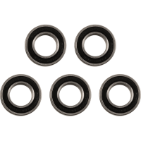 (image for) Factory Links Rear Bearing Pack (5-Pack)