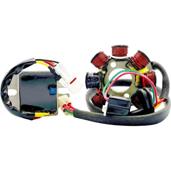 (image for) RICK'S MOTORSPORT ELECTRIC Lithium-Ion Friendly Charging Kit 2112-1735