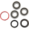 (image for) Rear Wheel Bearing and Seal Kit