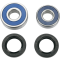 (image for) Rear Wheel Bearings and Seal Kit