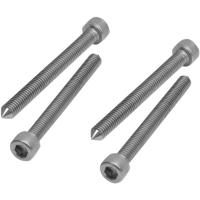 (image for) Tapered Seat Bolt Set
