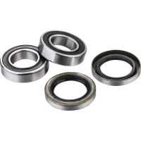 (image for) Rear Wheel Bearing Kit - GASGAS