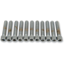 (image for) Coarse-Thread Socket-Head Bolt 1/4"-20 x 1 1/4"