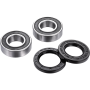 (image for) Front Wheel Bearing Kit - BMW