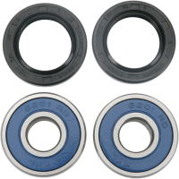 (image for) Front Wheel Bearing and Seal Kit for Honda CT125 ABS 21