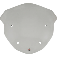 (image for) Flare Windshield Tint Non-Vented 23" for BMW R1250RT