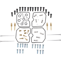 (image for) Carburetor Repair Kit