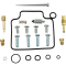 (image for) Carburetor Repair Kit
