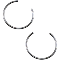 (image for) Replacement Circlips (Pair)