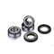 (image for) Rear Wheel Bearing Kit - APRILIA