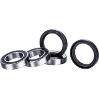 (image for) Race Series Rear Wheel Bearing Kit