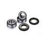(image for) OEM Series Steering Stem Bearing Kit 0401-0139