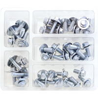 (image for) 40 pc. SEMS bolt assortment