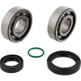 (image for) Crank Bearing and Seal Kit - HUSQVARNA TC 50 24-25