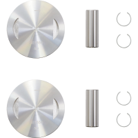 (image for) Replacement Piston Kit