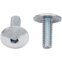 (image for) Replacement Fairing Bolt M6 x 1.0 x 16 mm