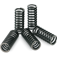 (image for) Pro Circuit Clutch Springs