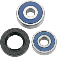 (image for) Front Wheel Bearing and Seal Kit