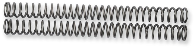 (image for) Race Tech Fork Spring 0405-0839