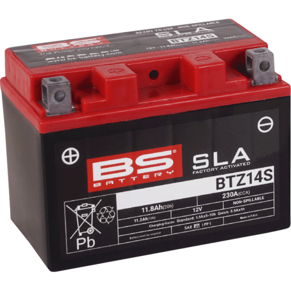 (image for) BS Battery SLA AGM Battery 2113-0624