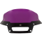 (image for) Kolor Flare™ Windshield 6" Purple