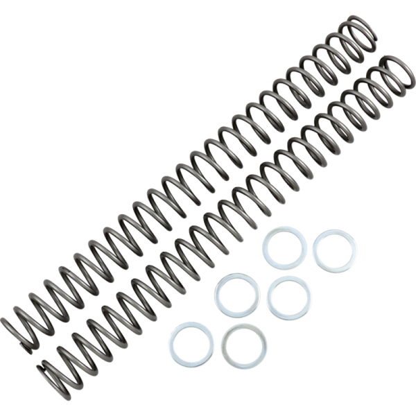 (image for) Race Tech Fork Spring 0405-0152
