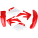 (image for) Acerbis Replacement Plastic Standard Kit - OEM 05