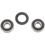 (image for) Front Wheel Bearing and Seal Kit