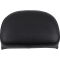 (image for) Sissy Bar Pad
