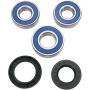 (image for) Rear Wheel Bearing and Seal Kit