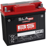 (image for) BS Battery 51913 SLA MAX AGM Battery