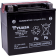 (image for) Yuasa AGM Battery YTX14-BS