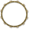 (image for) Friction Plate 1131-0769
