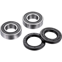 (image for) Front Wheel Bearing Kit - BMW