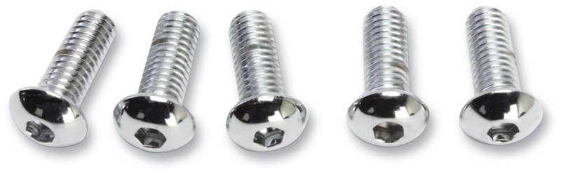 (image for) Drag Specialties Button Head Bolt 5/16"-18 x 1"