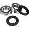 (image for) Front Wheel Bearing Kit - SUZUKI