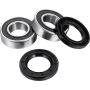(image for) Front Wheel Bearing Kit - SUZUKI