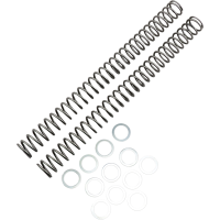(image for) Race Tech Fork Spring FRSP435142