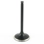 (image for) Extreme-Duty Tulip Intake Valve